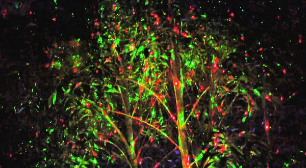 Star Shower lézer-lámpa